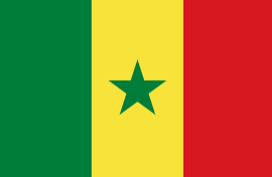 The Senegalese Flag