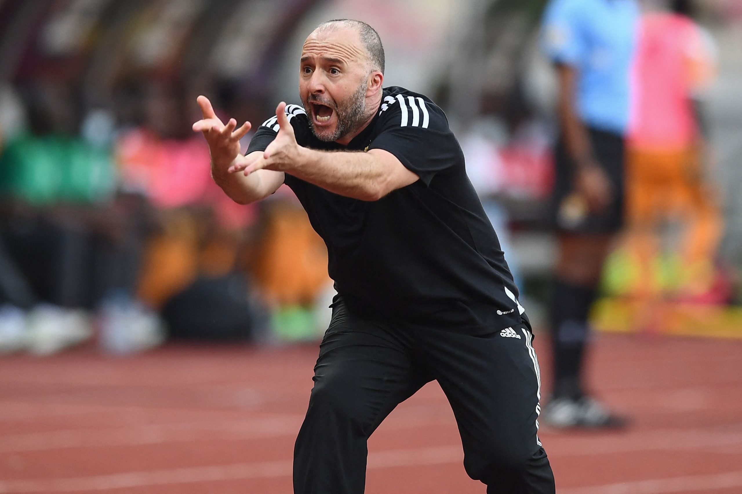 Belmadi to continue as Algeria coach despite World Cup failure – Fans ...